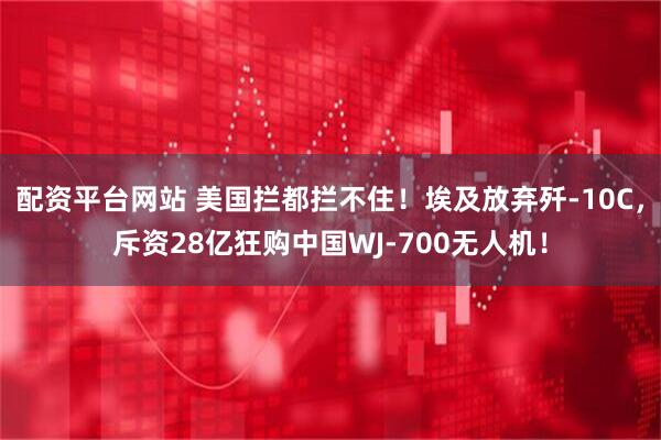 配资平台网站 美国拦都拦不住！埃及放弃歼-10C，斥资28亿狂购中国WJ-700无人机！