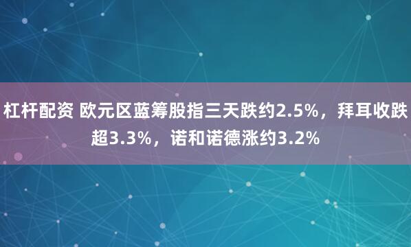 杠杆配资 欧元区蓝筹股指三天跌约2.5%，拜耳收跌超3.3%，诺和诺德涨约3.2%